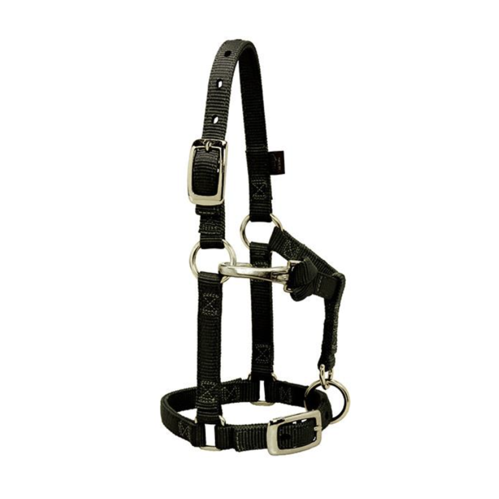 Weaver Adjustable Nylon Miniature Halter