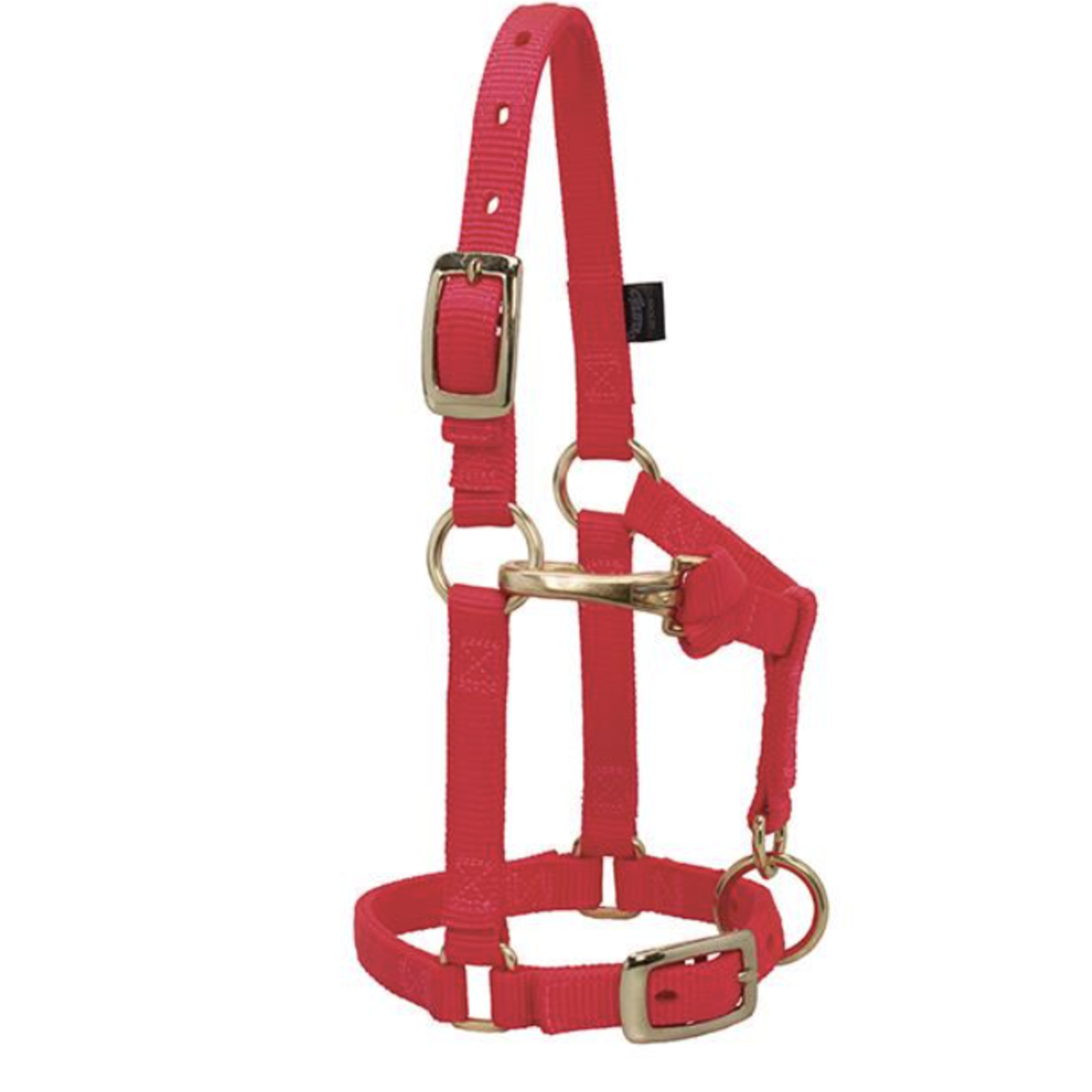 Weaver Adjustable Nylon Miniature Halter