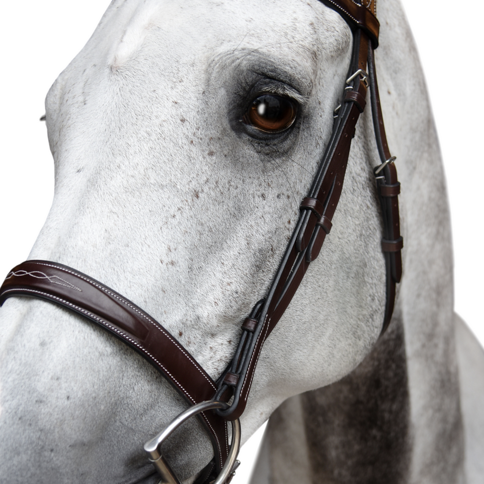 KL Select Red Barn Indio Hunter Bridle