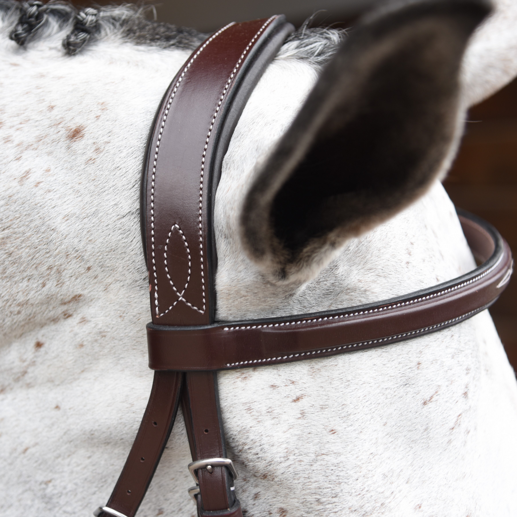KL Select Red Barn Indio Hunter Bridle