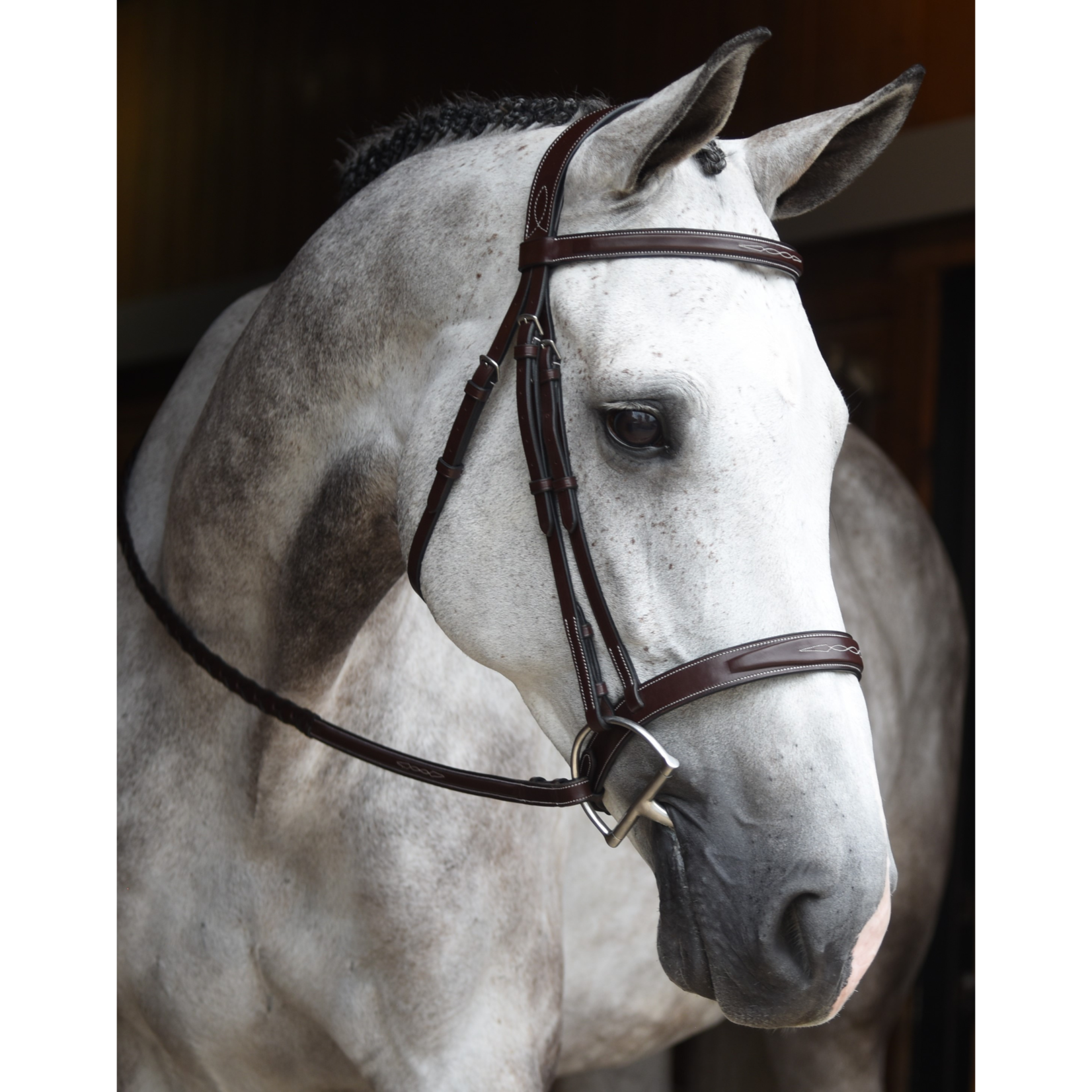 KL Select Red Barn Indio Hunter Bridle