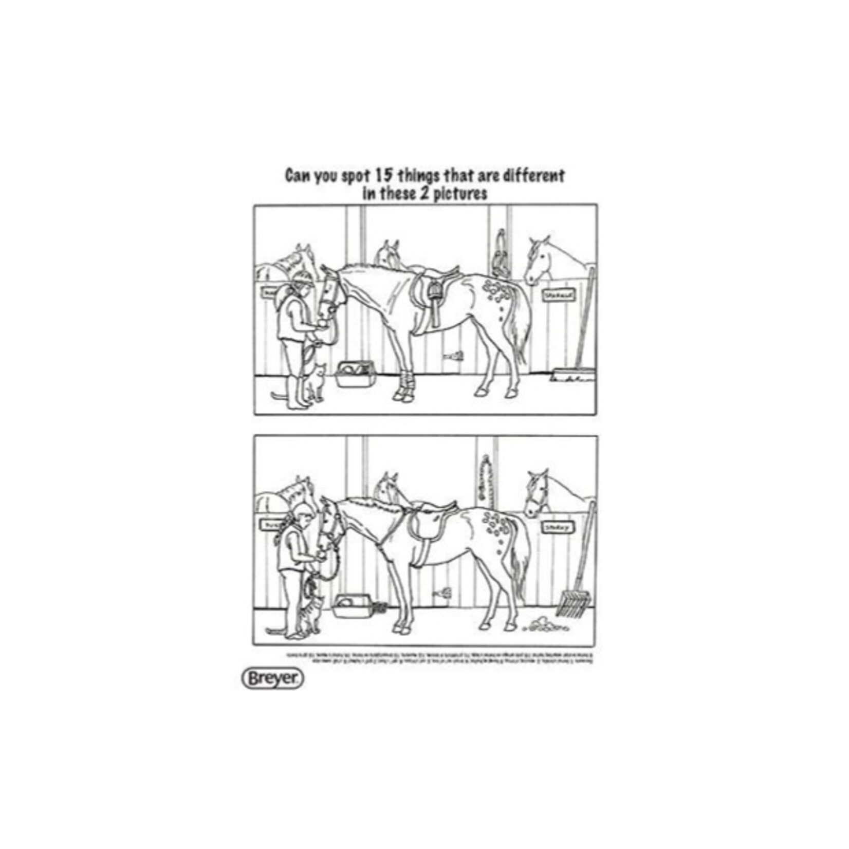 Breyer H is for Horse Activity Book