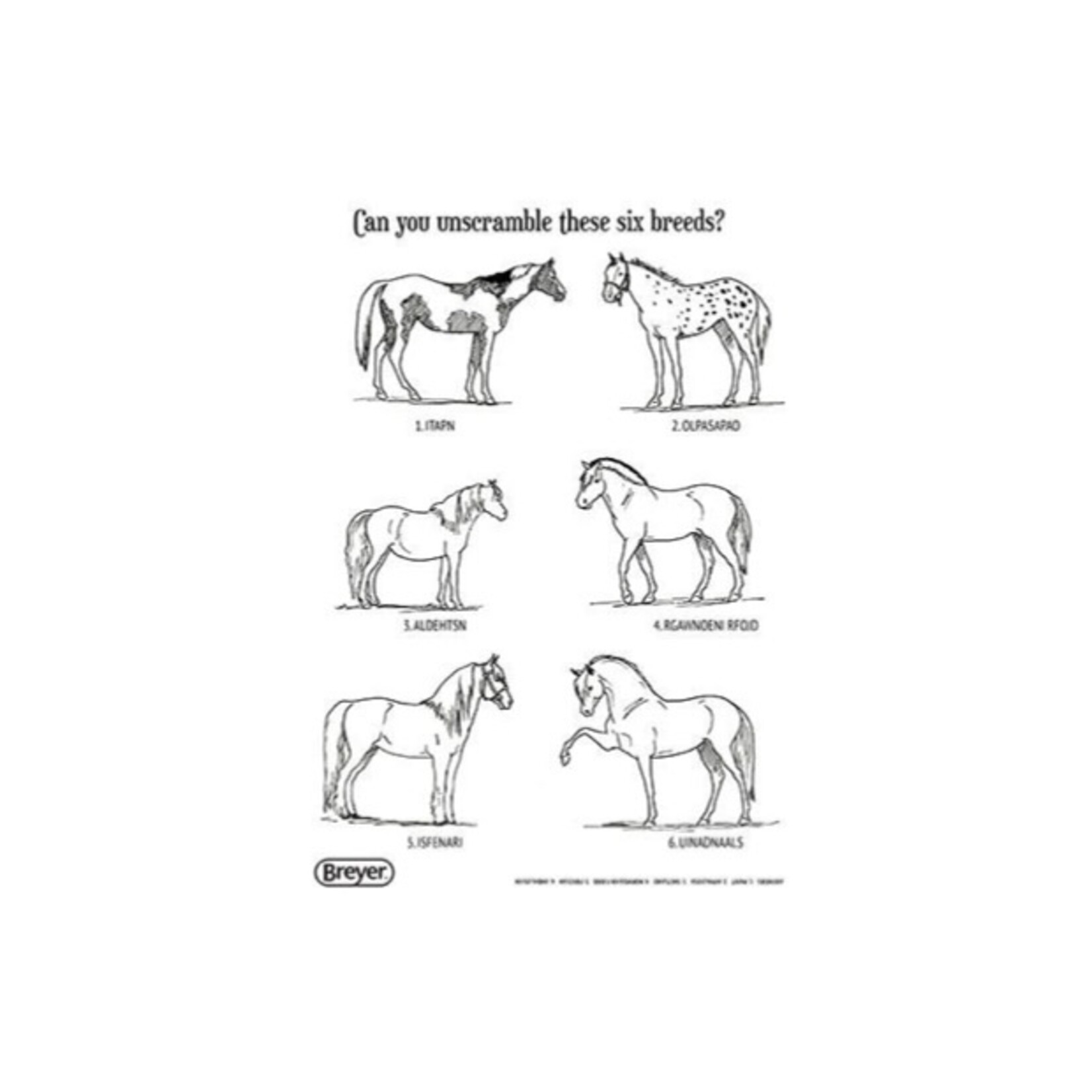 Breyer H is for Horse Activity Book