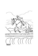 Breyer H is for Horse Activity Book