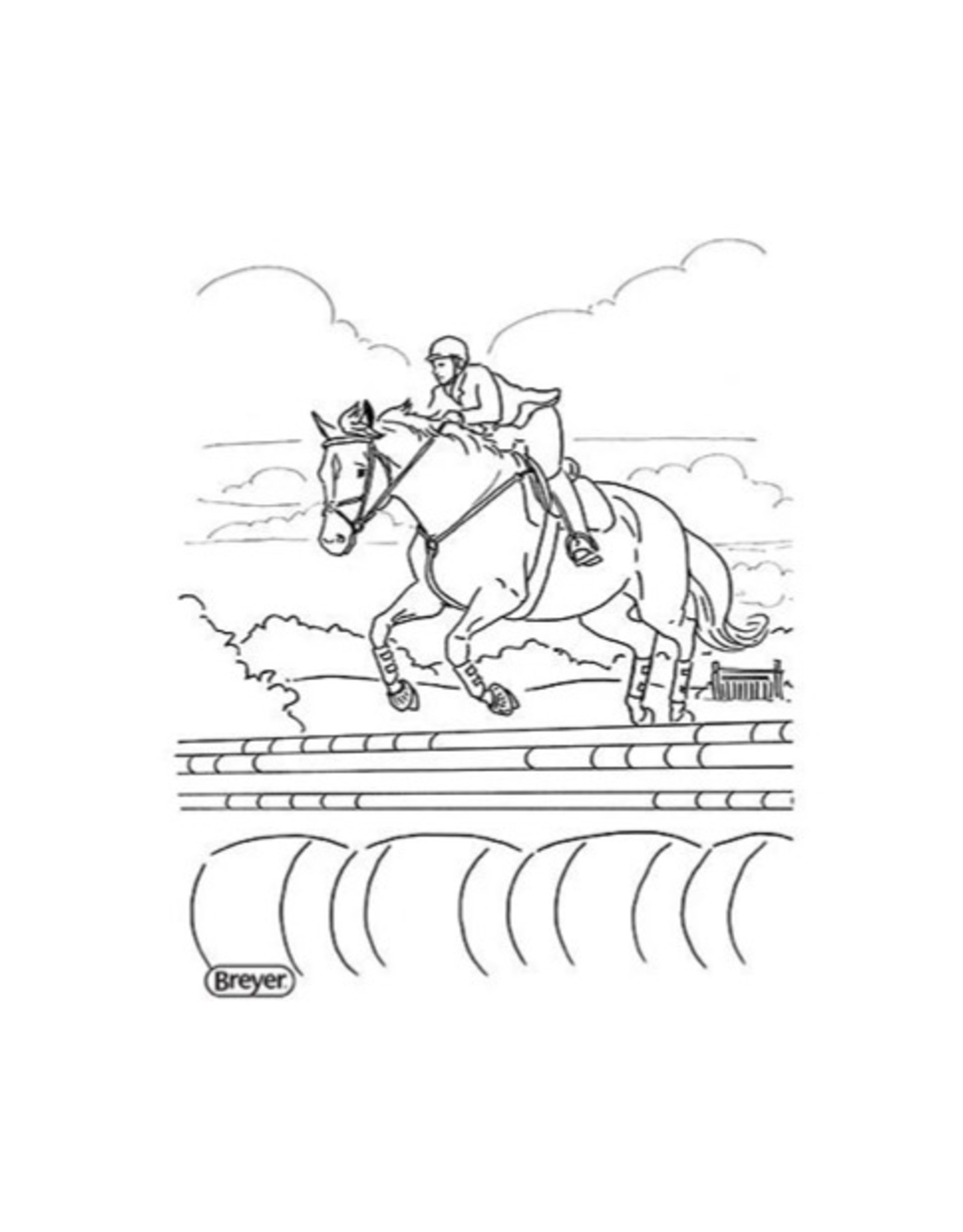 Breyer H is for Horse Activity Book