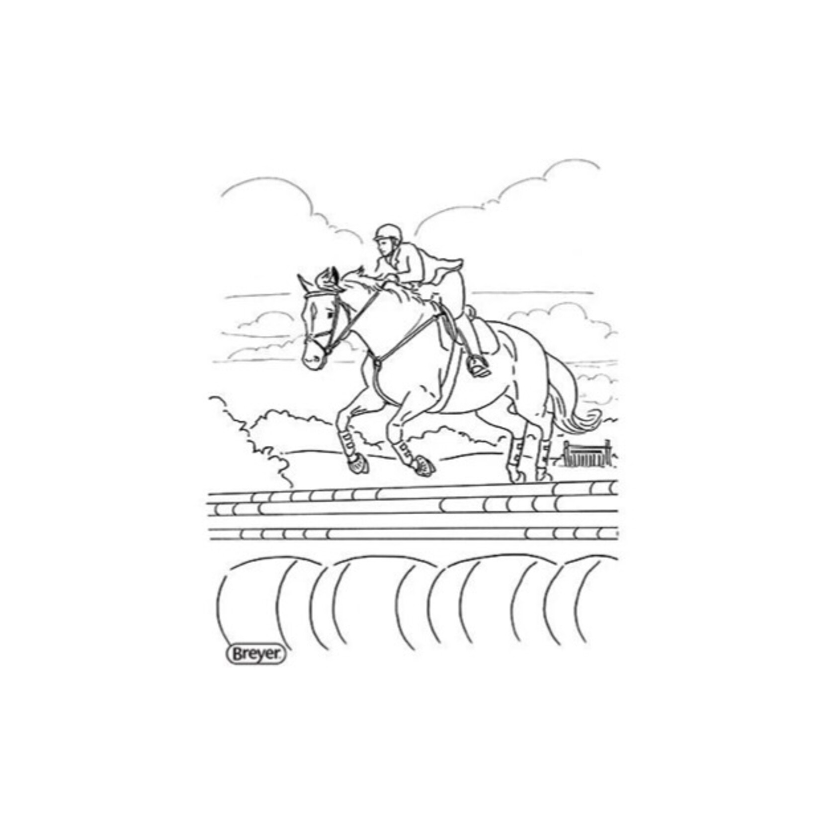 Breyer H is for Horse Activity Book