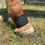 EquiFit Pastern Wrap