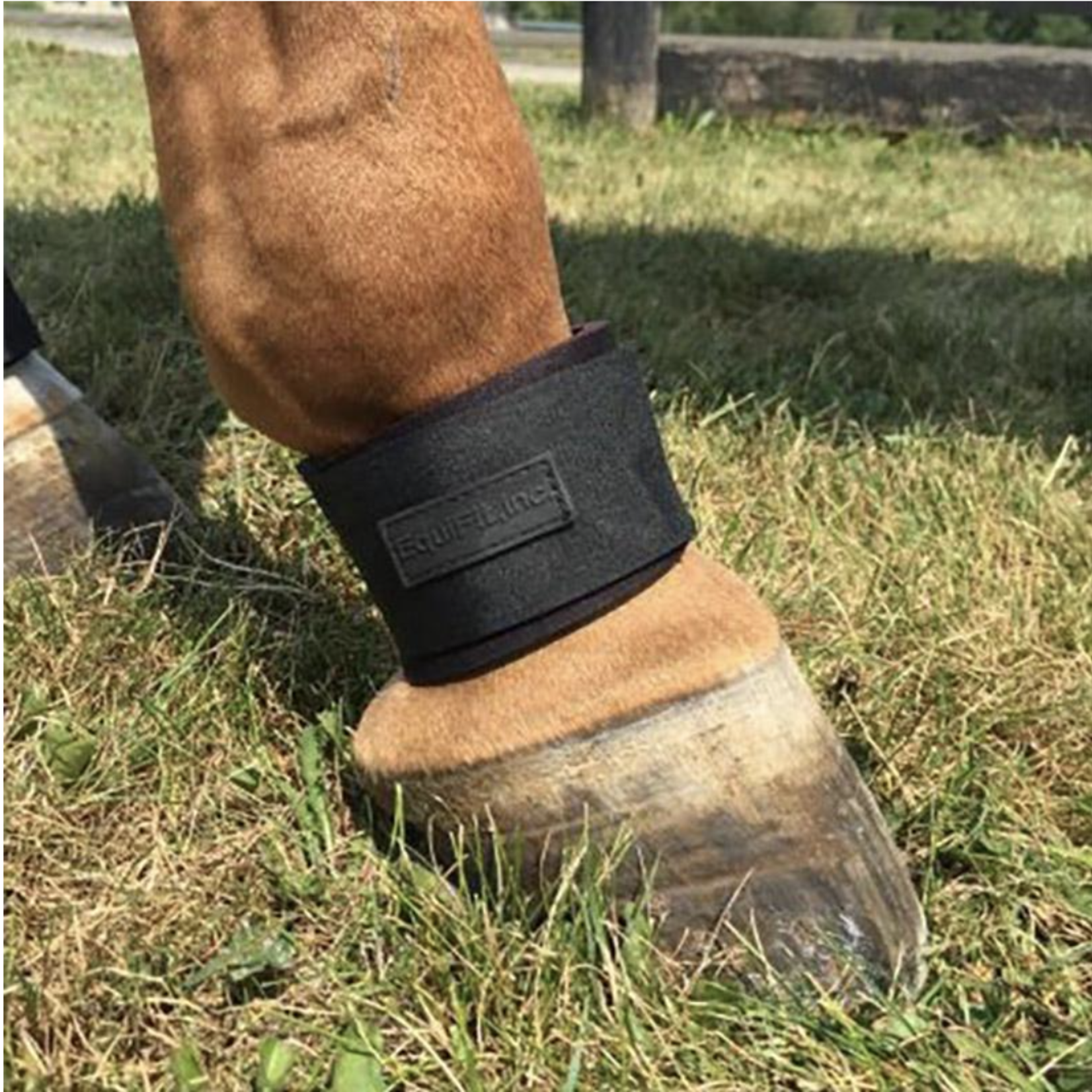 EquiFit Pastern Wrap