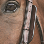 Nunn Finer Blinkers