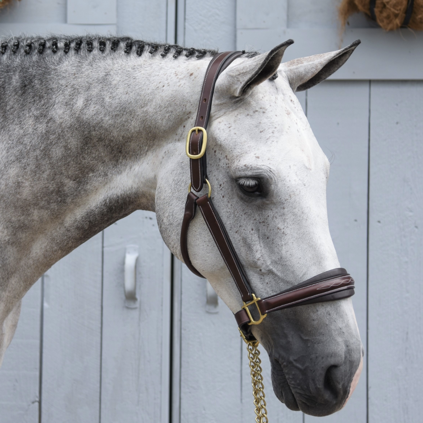 KL Select Rachel Halter