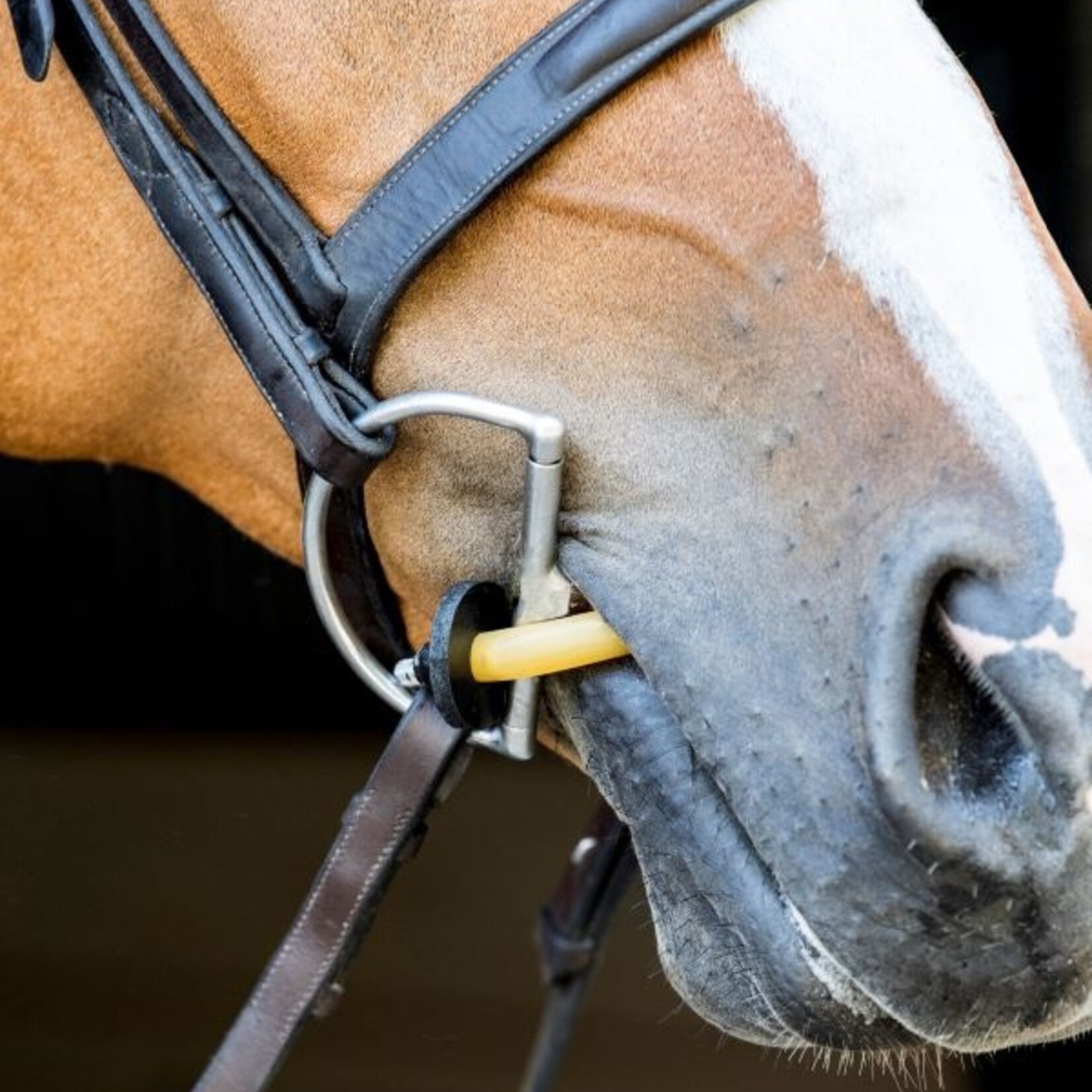 Thinline ThinLine Halter Busy Buddy