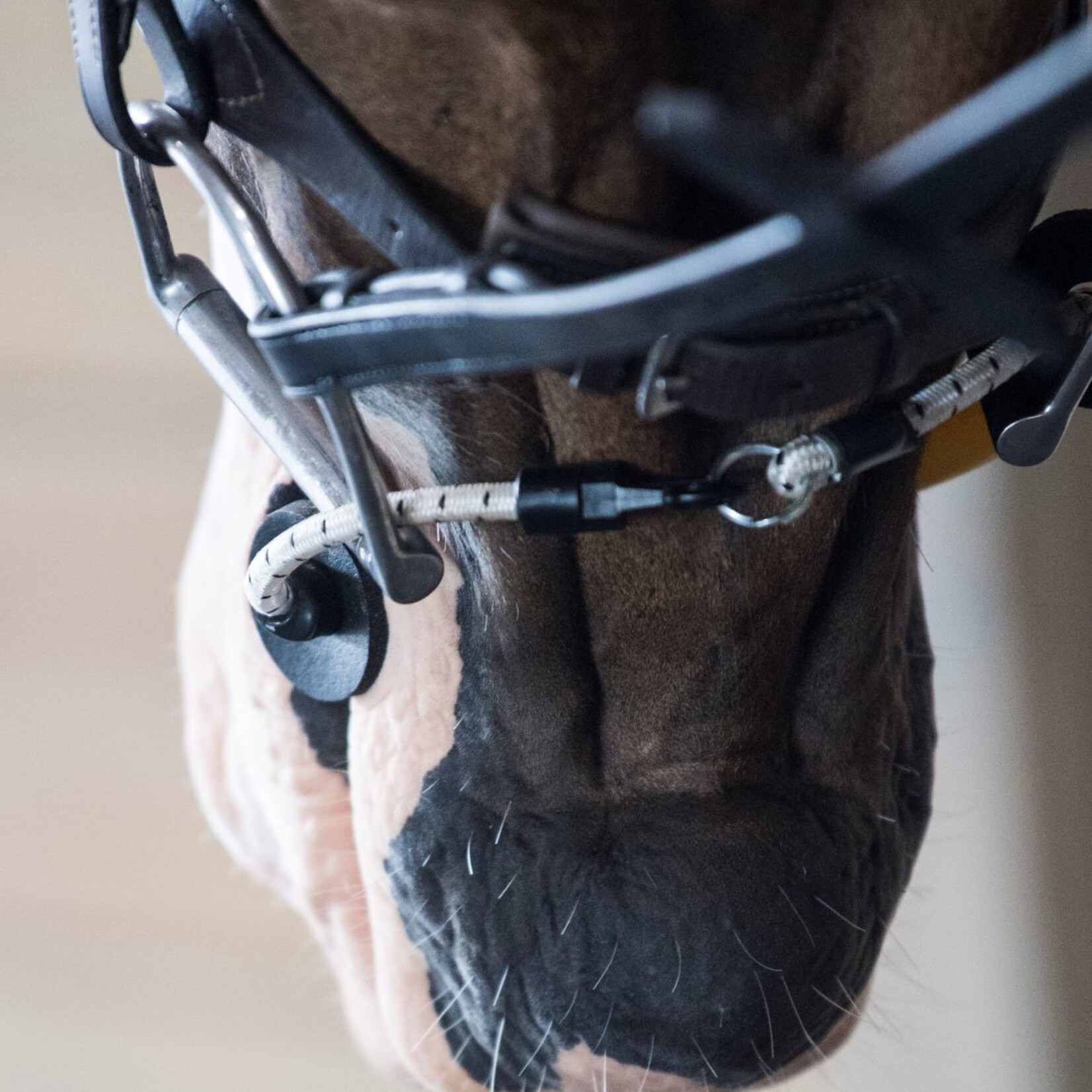 Thinline ThinLine Halter Busy Buddy