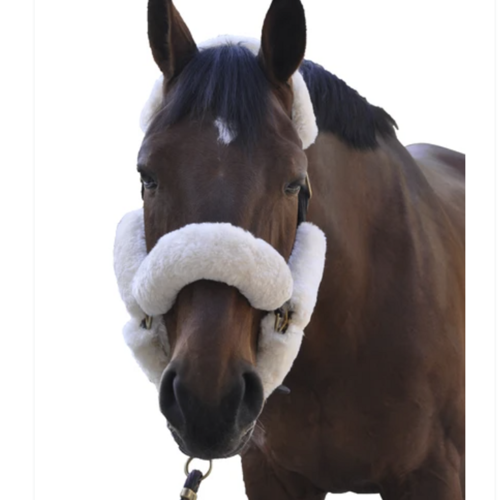 Equine Comfort Sheepskin Cover Set