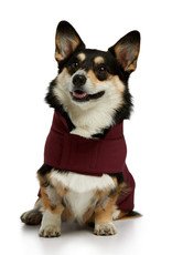 Ariat Team Softshell Dog Jacket