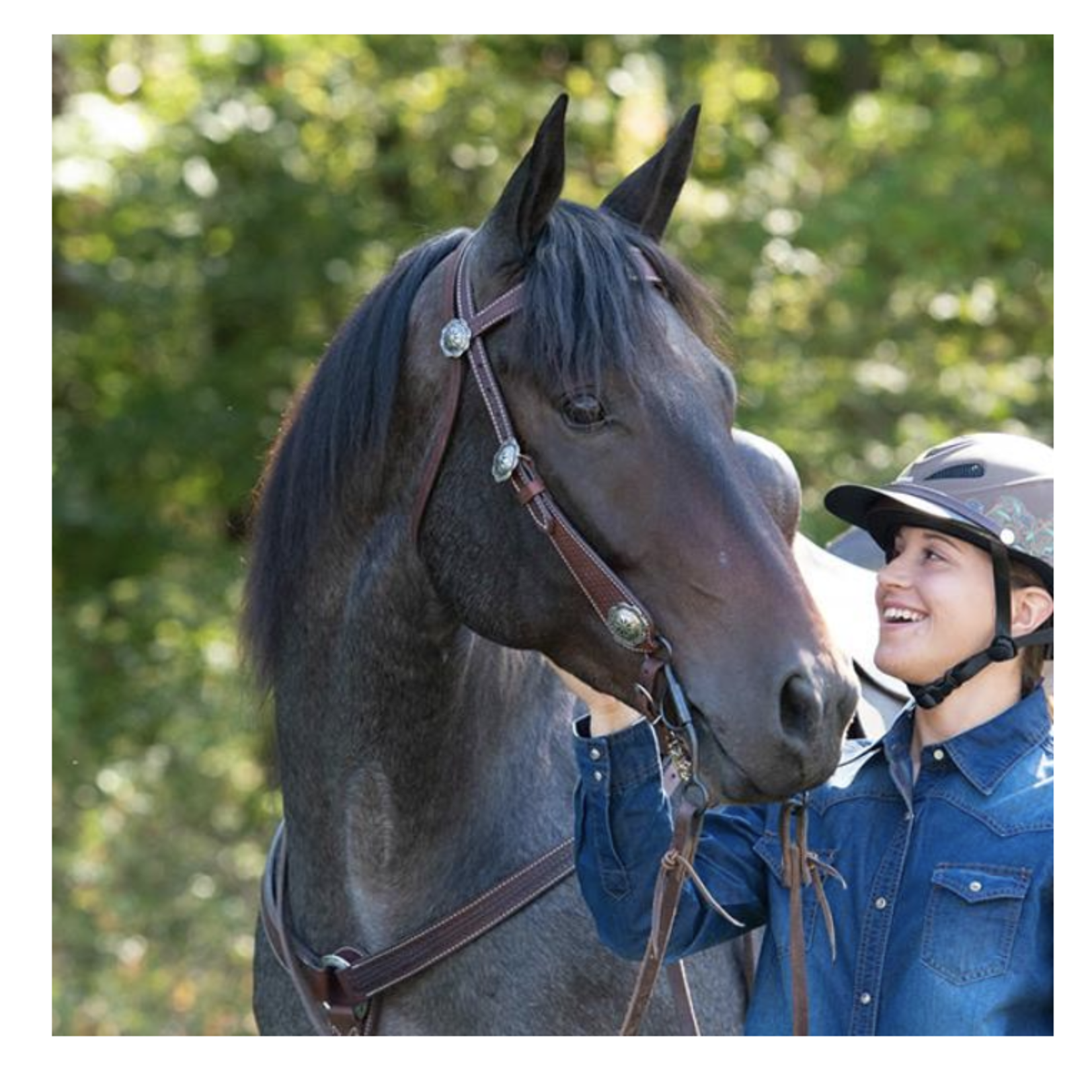 Weaver Basin Cowboy Headstall