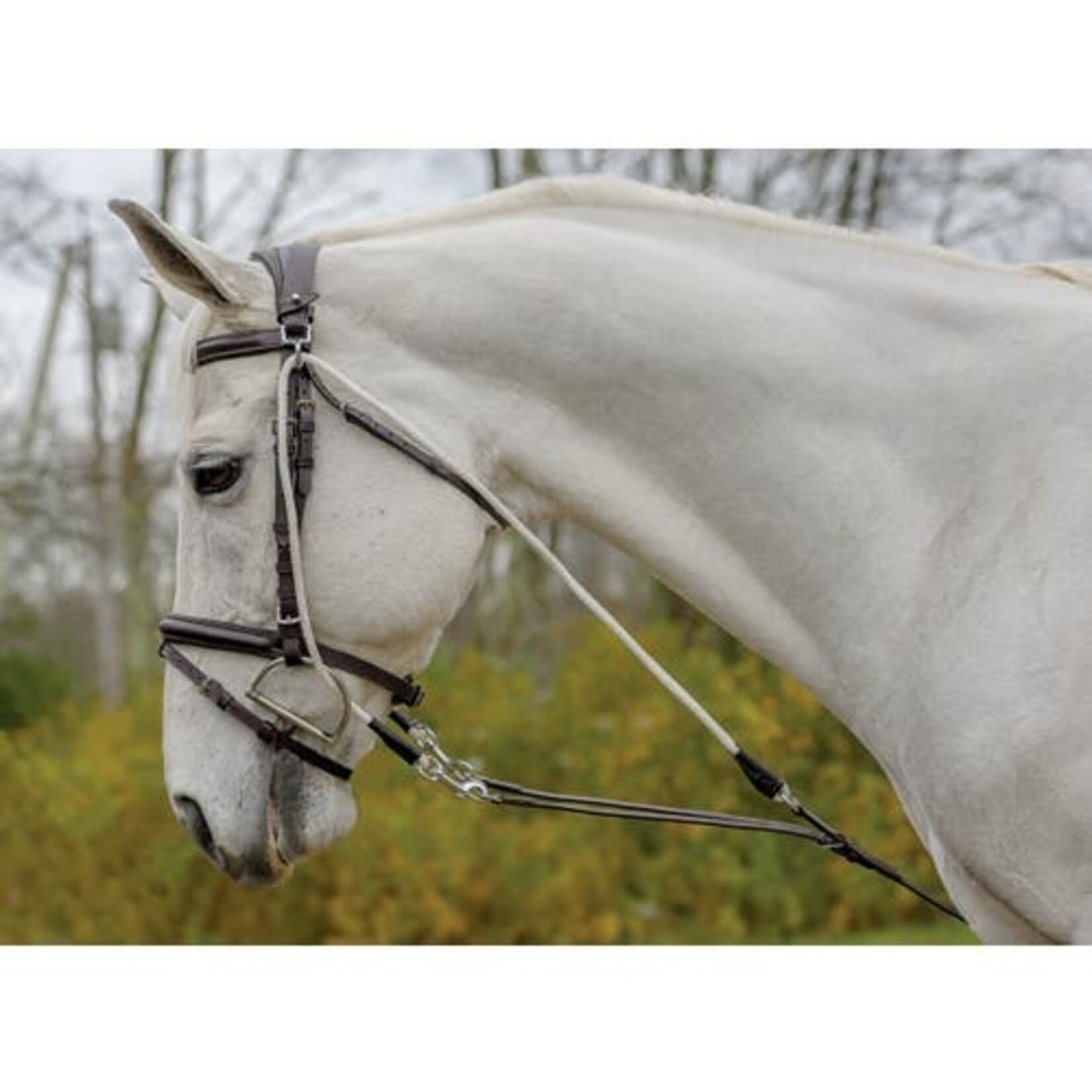 Shires De Gogue Training Aid