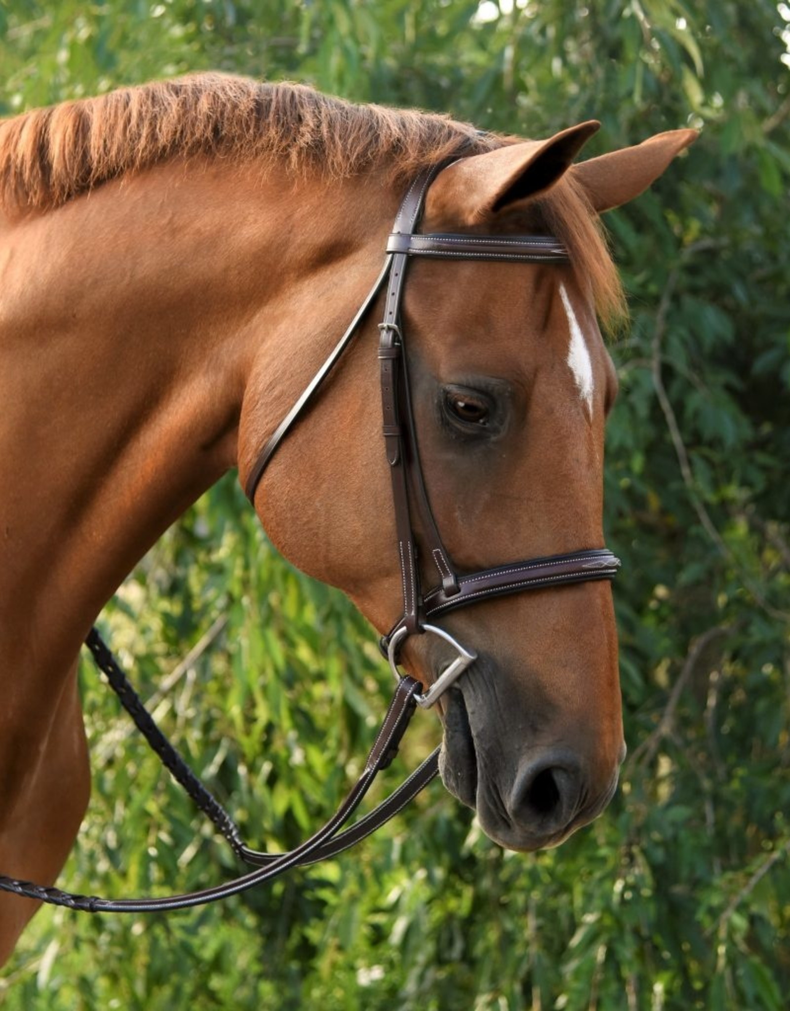 Red Barn Icon Bridle