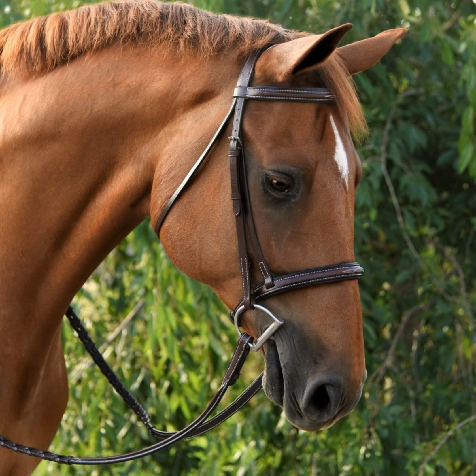 Red Barn Icon Bridle