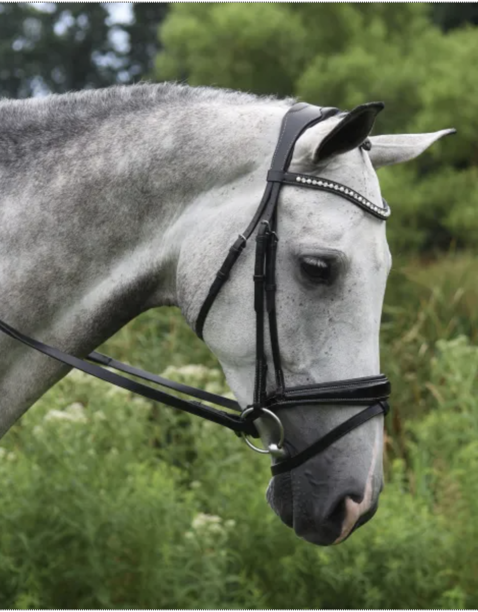 Red Barn Pace Patent Bridle