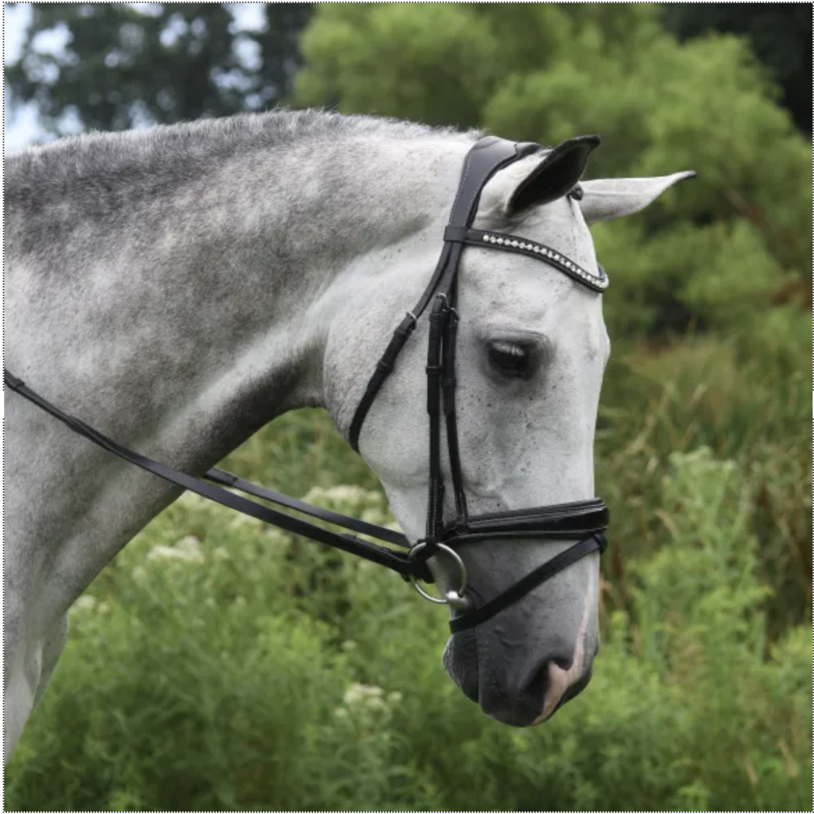Red Barn Pace Patent Bridle