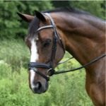 Red Barn Pace Patent Bridle