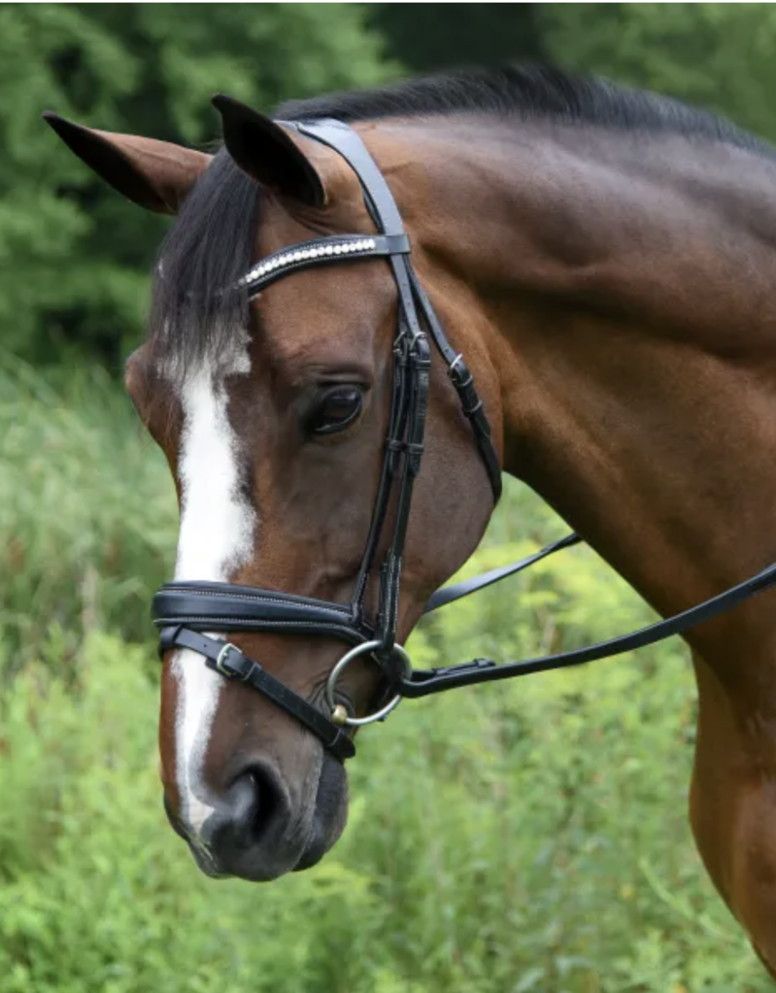 Red Barn Pace Patent Bridle