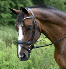 Red Barn Pace Patent Bridle