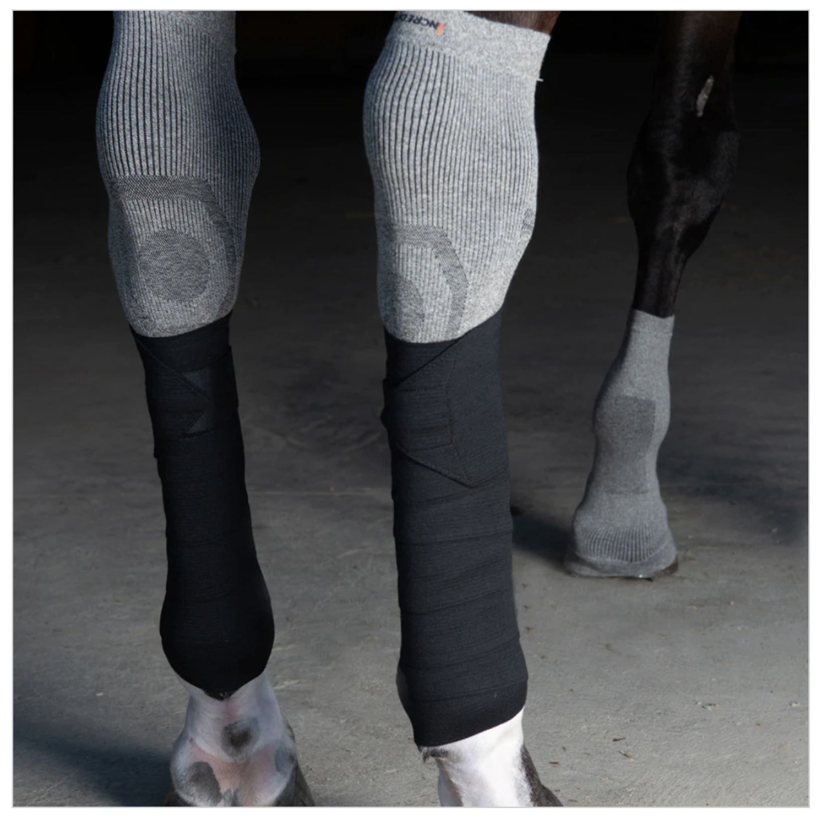 Incrediwear Equine Incrediwear Black Circulation Exercise Bandages