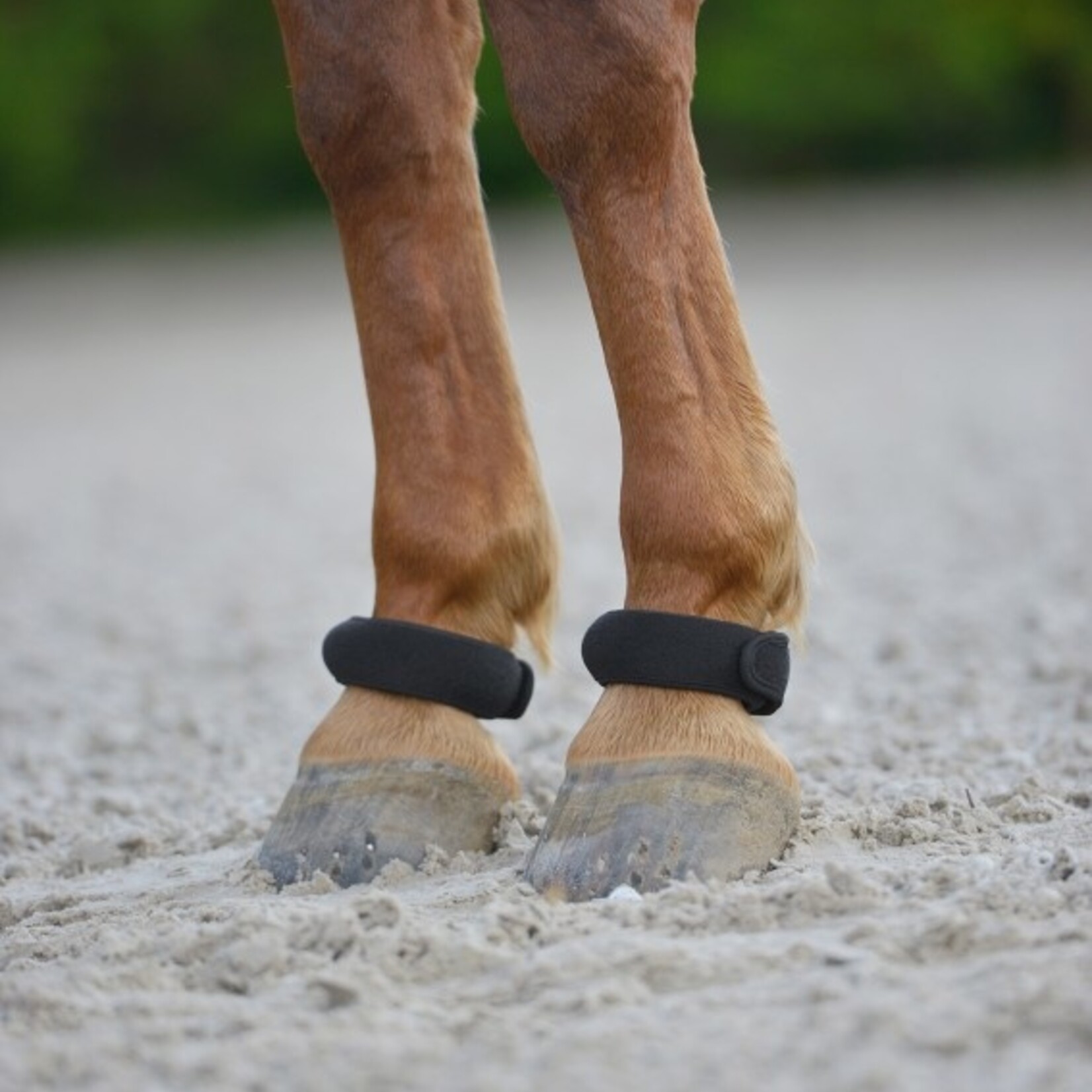 Waldhausen Fetlock Ring - Pair