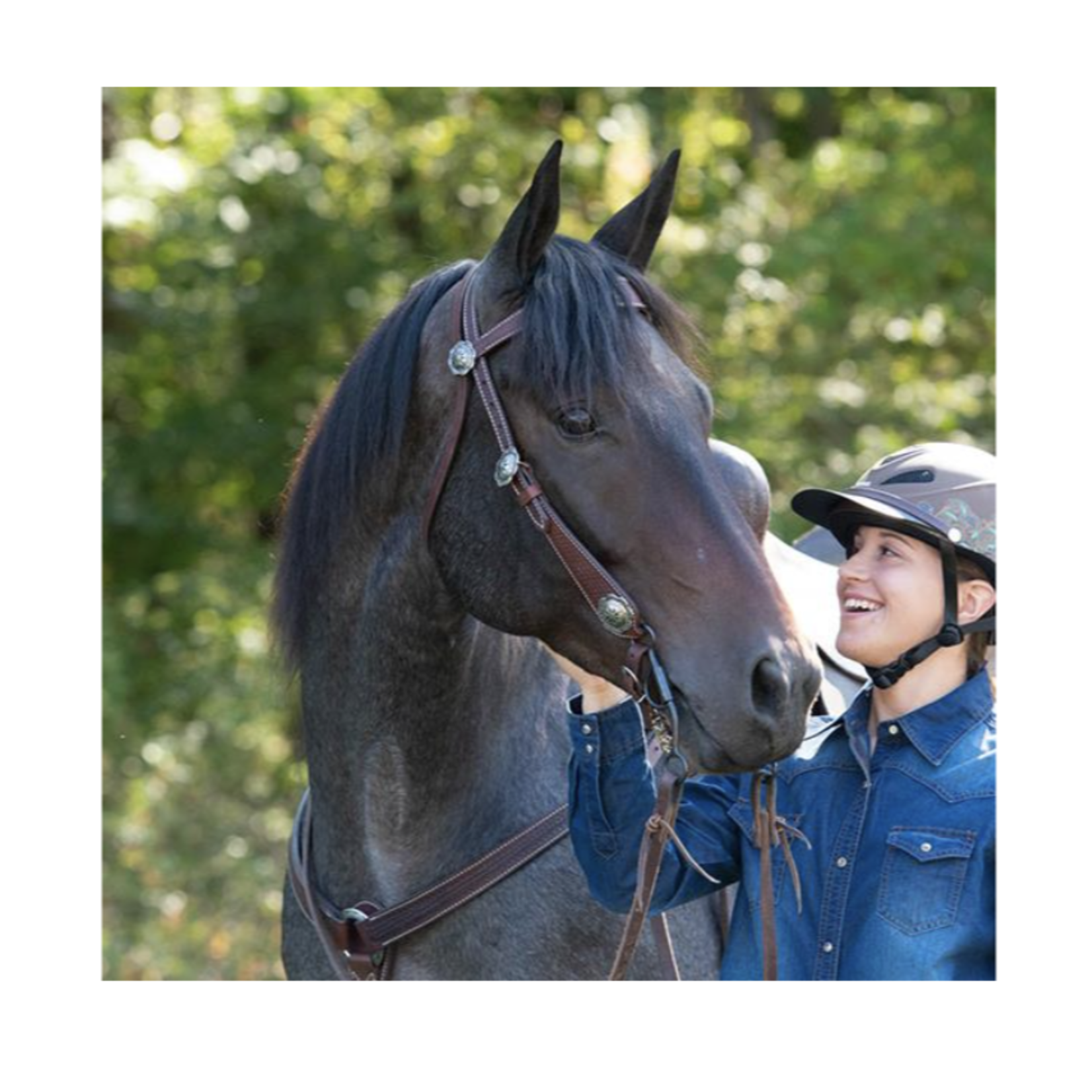 Weaver Basin Cowboy Breast Collar