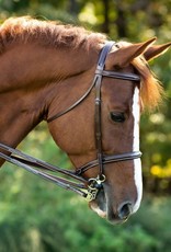 KL Select Italia Venezia Bridle