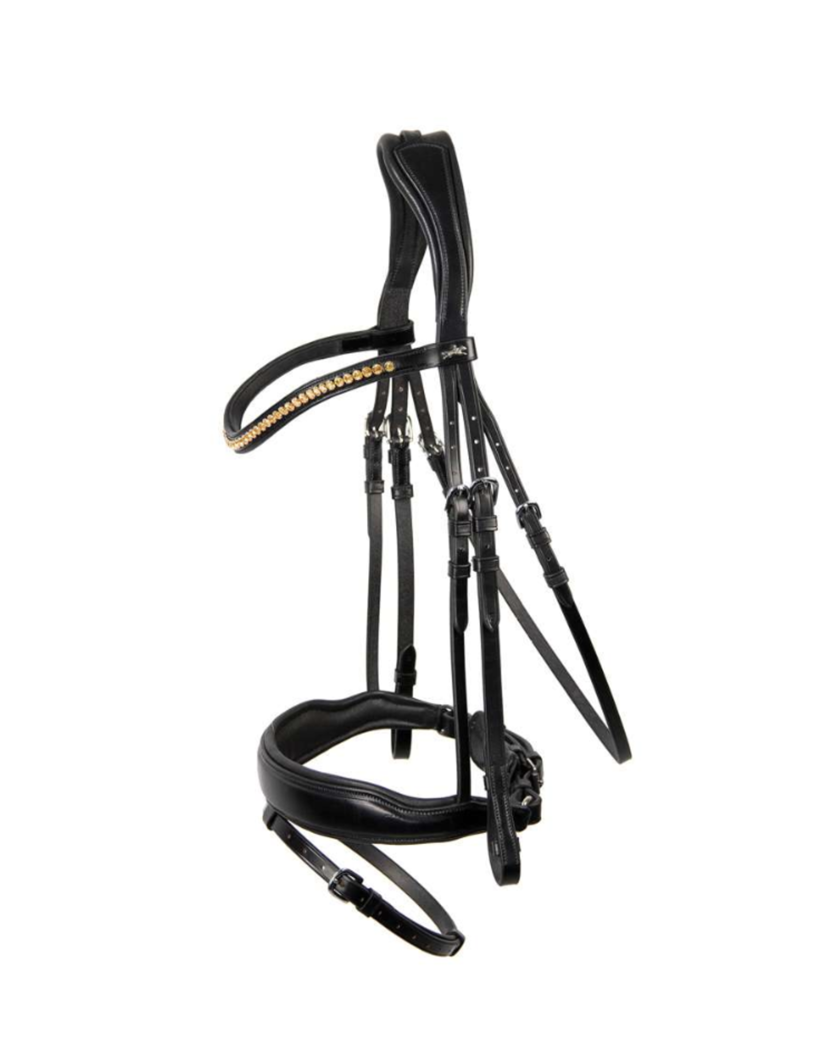 Schockemöhle Stanton with Flash Bridle