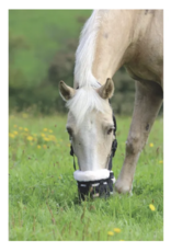 Shires Deluxe Comfort Grazing Muzzle