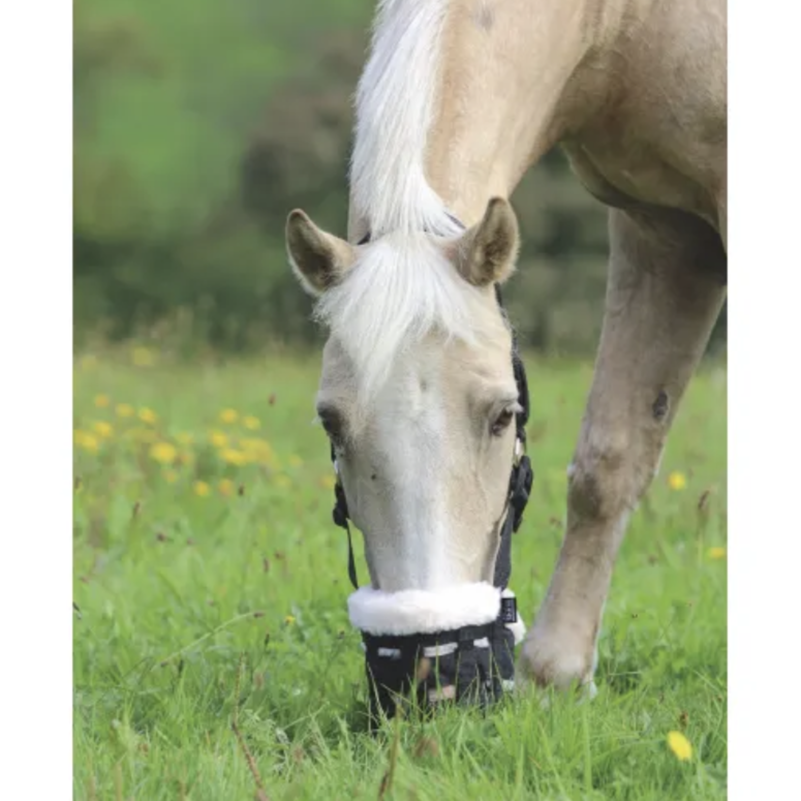 Shires Deluxe Comfort Grazing Muzzle
