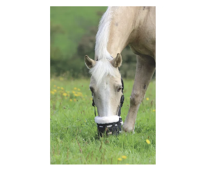 Calabasas Saddlery - Shires Deluxe Comfort Grazing Muzzle