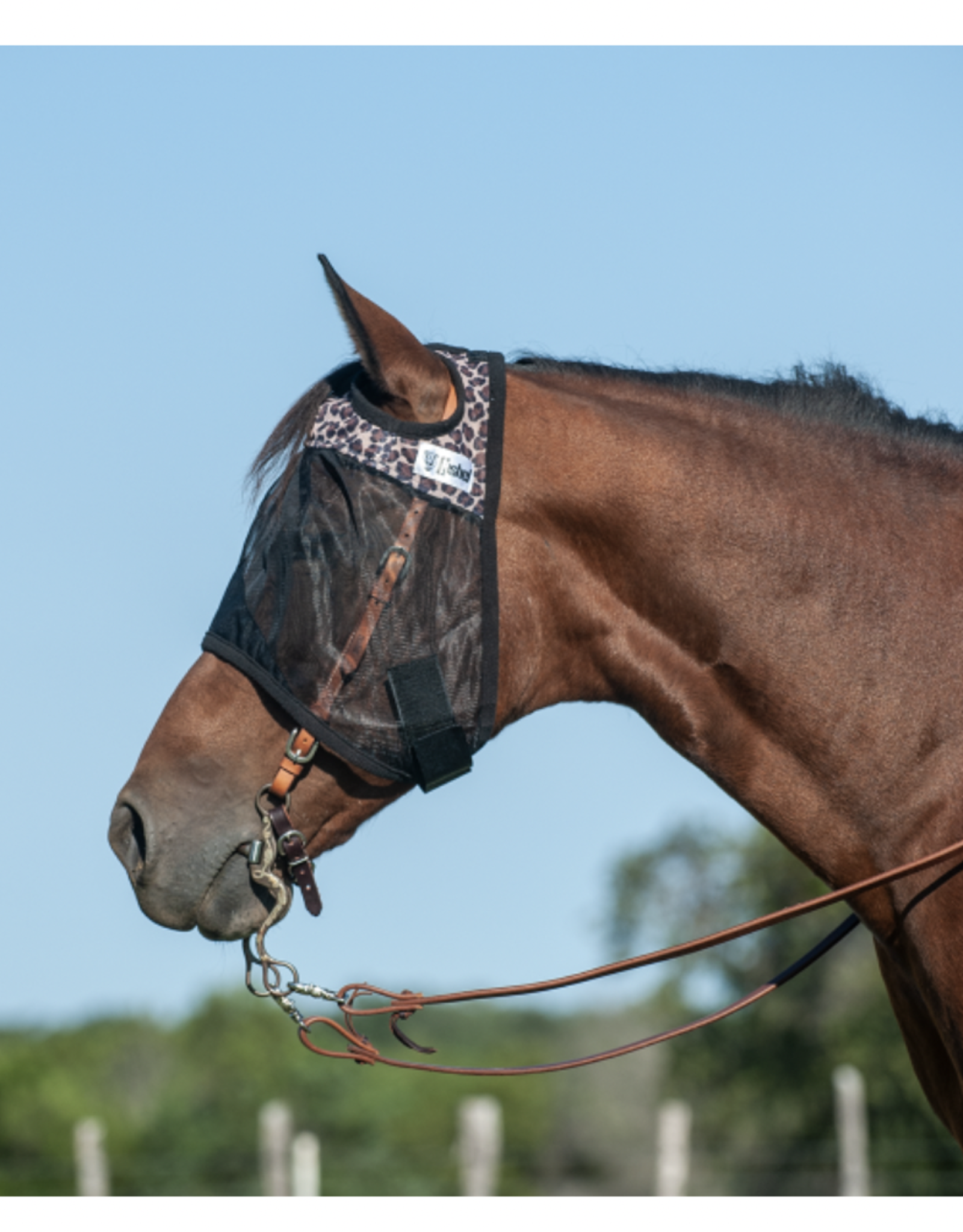 Cashel Cashel Leopard Quiet Ride Fly Mask