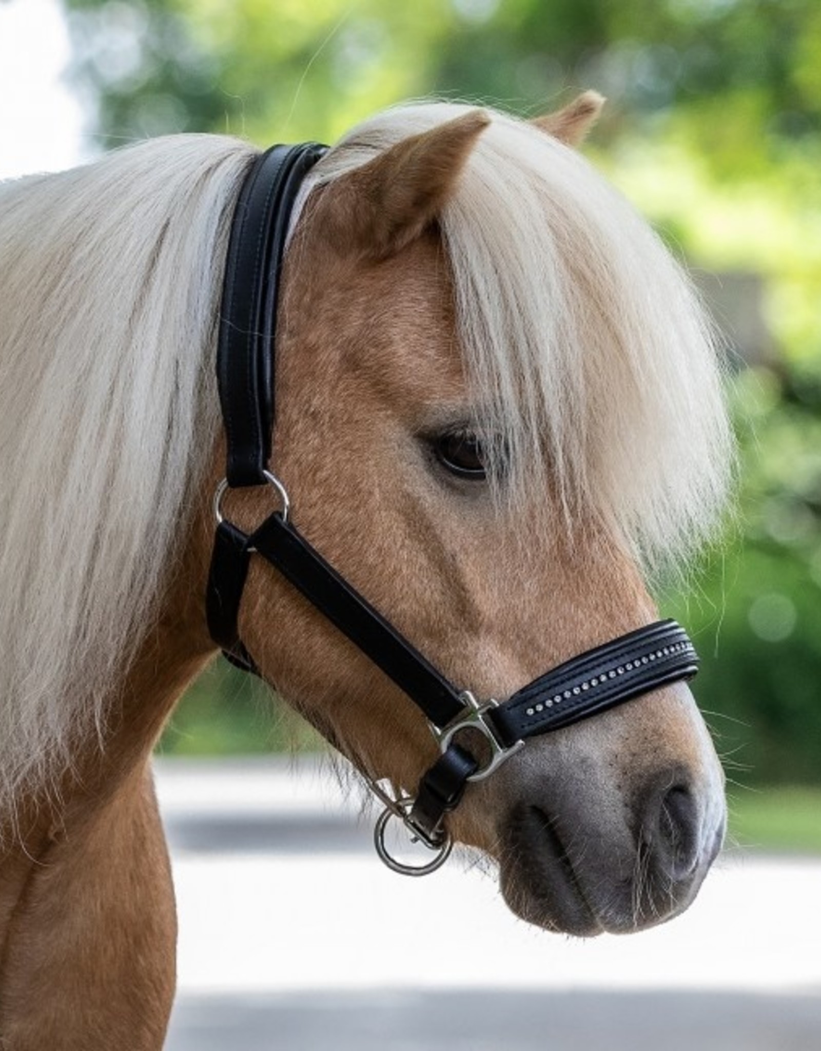 Custom leather halter – Diamond J Equine