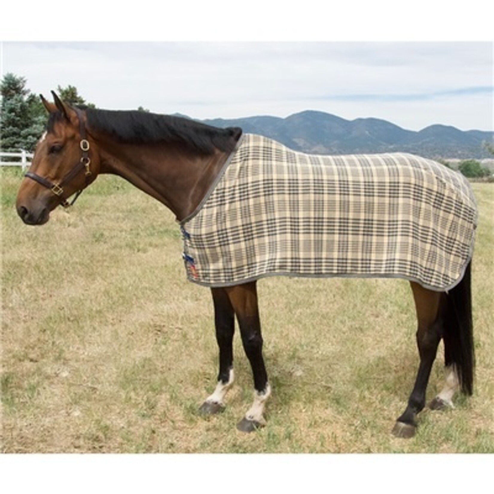 5/A Baker Fleece Dress Sheet