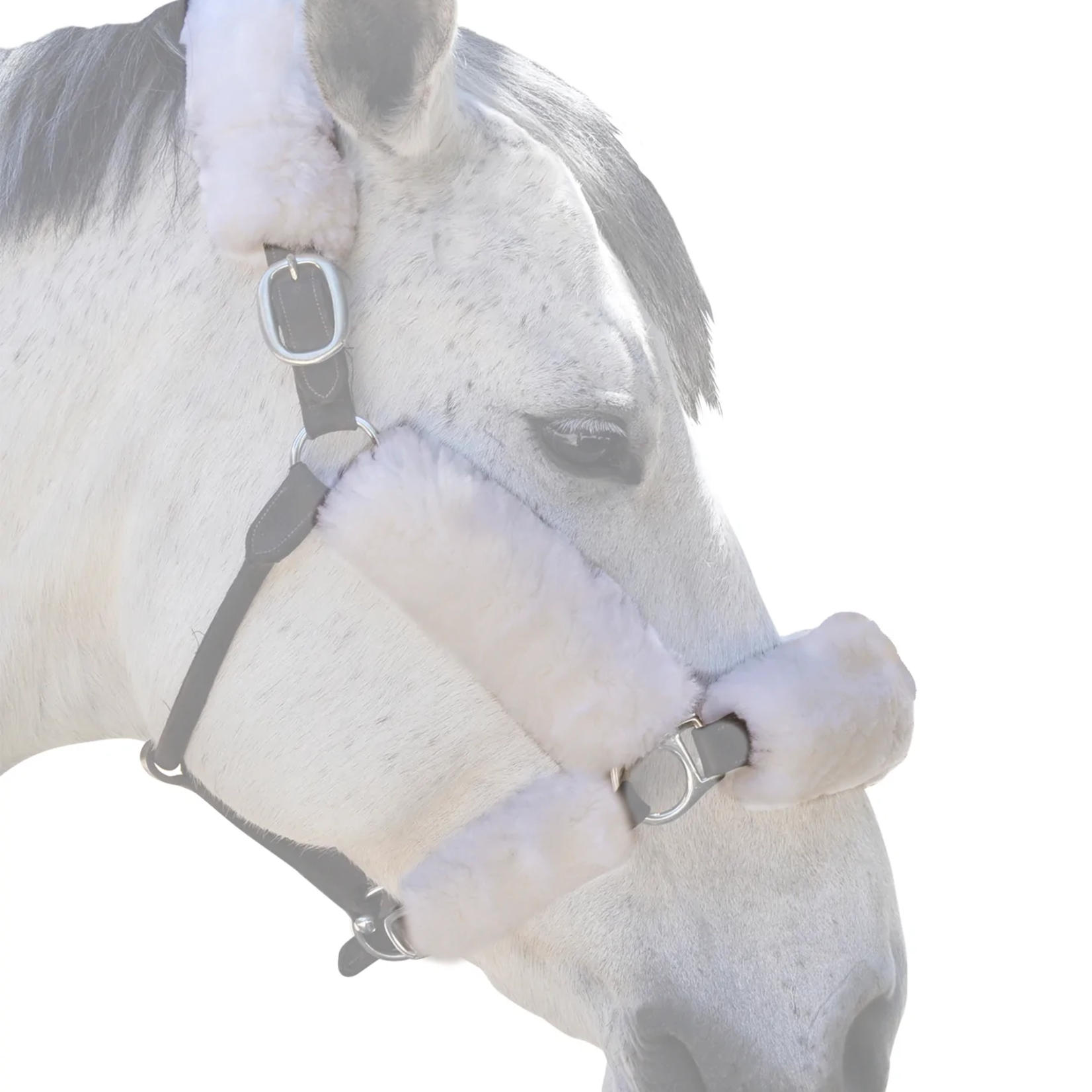 Equine Comfort Equine Comfort 6-Piece Sheepskin Halter Set