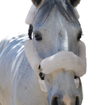 Equine Comfort Equine Comfort 6-Piece Sheepskin Halter Set