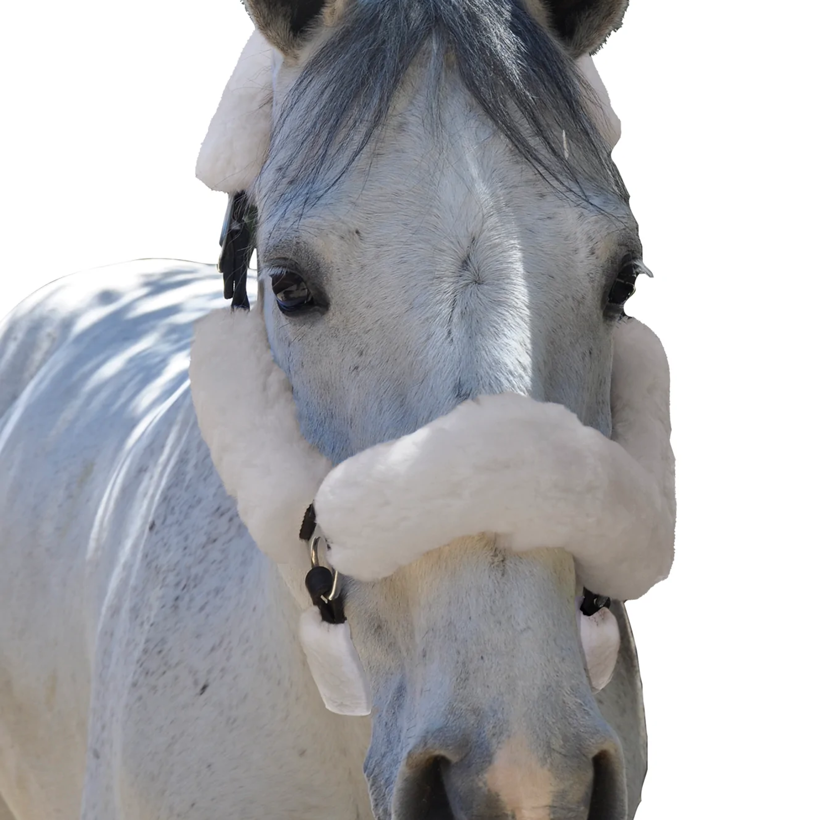 Equine Comfort Equine Comfort 6-Piece Sheepskin Halter Set
