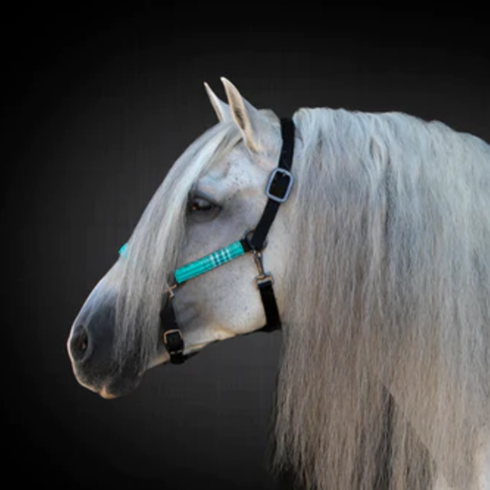 Kensington Premium Nylon Halter