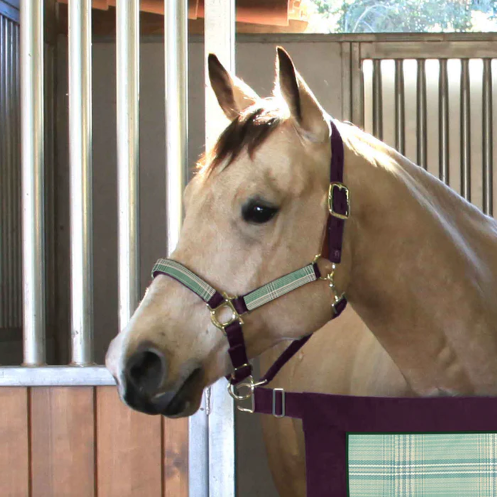 Kensington Premium Nylon Halter