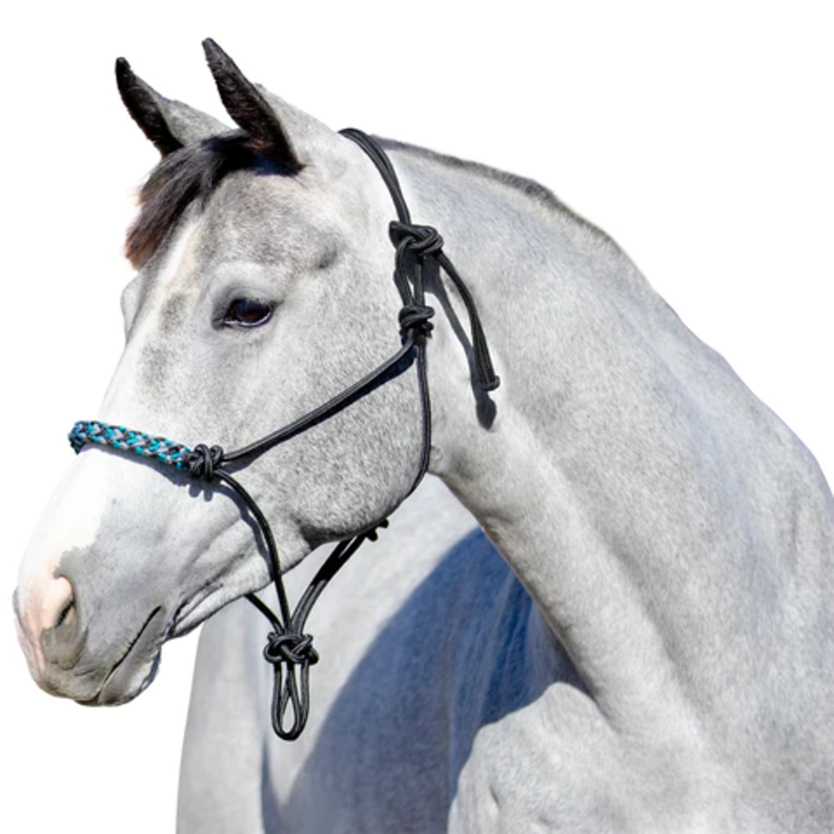 Kensington Clinician Rope Halter