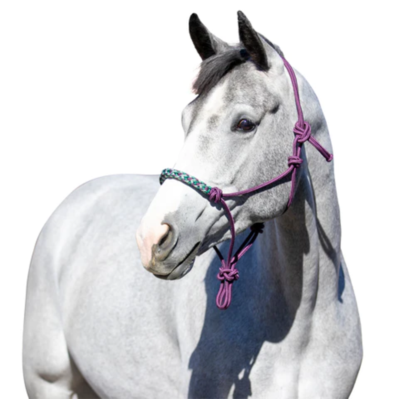 Kensington Clinician Rope Halter
