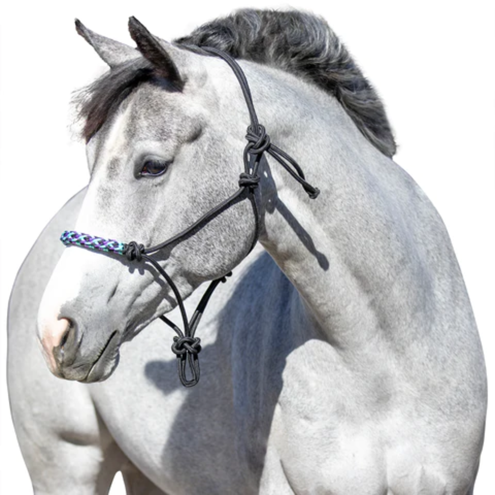 Kensington Clinician Rope Halter