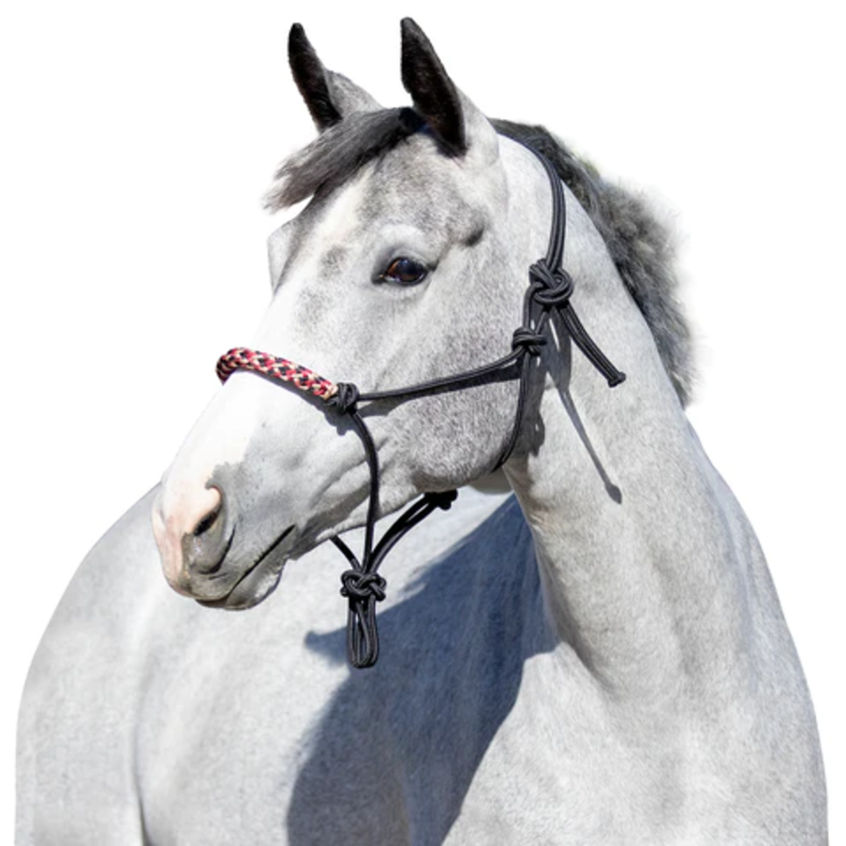 Kensington Clinician Rope Halter