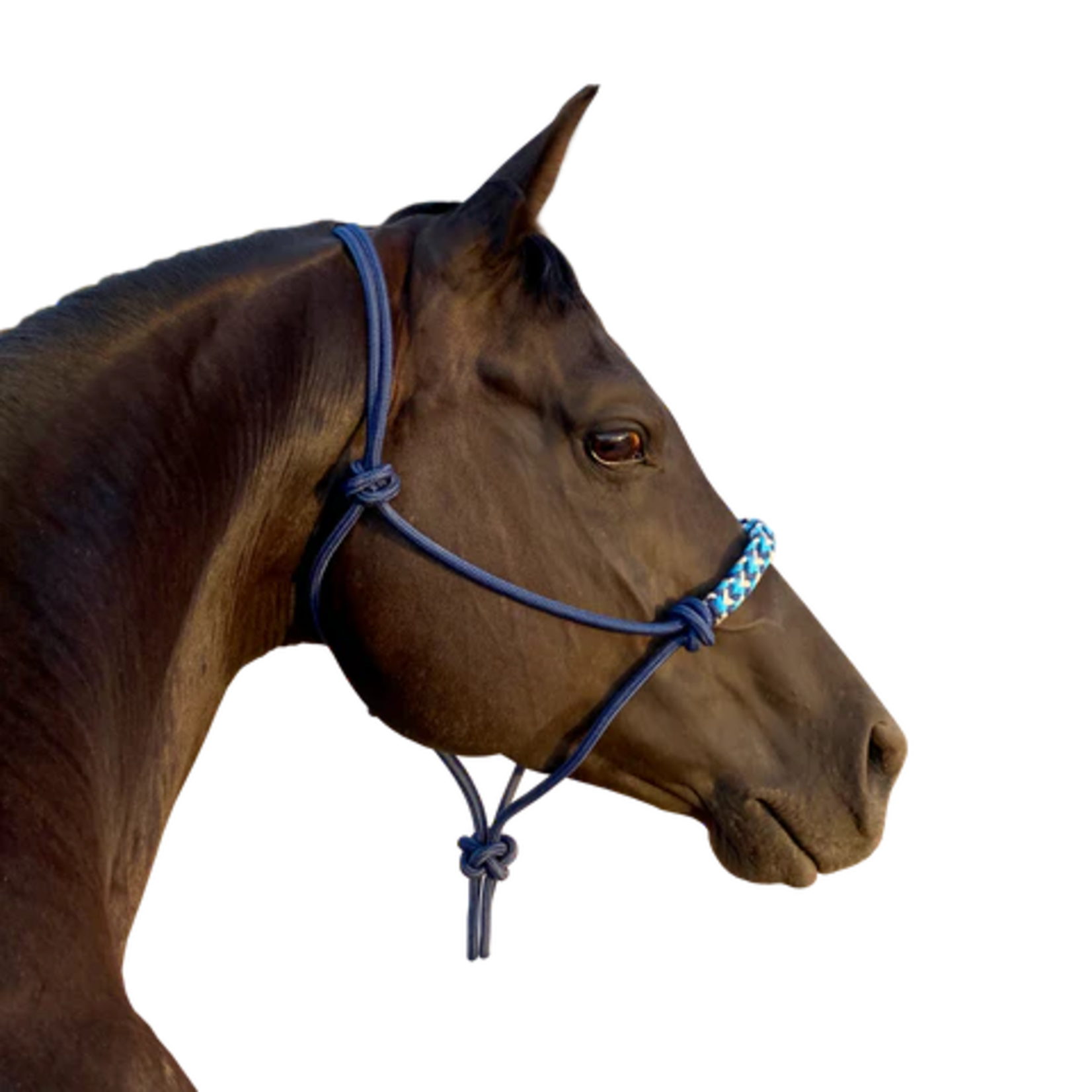 Kensington Clinician Rope Halter