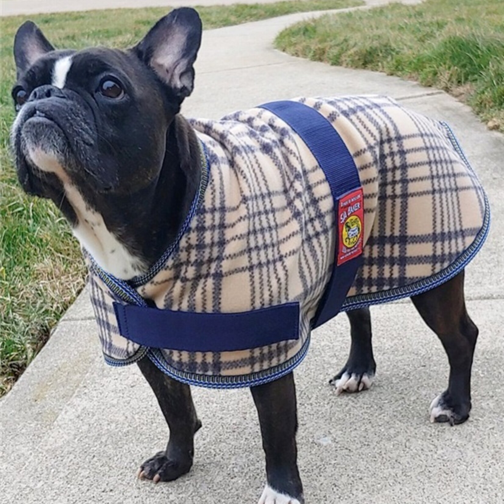 5/A Baker Fleece Dog Blanket