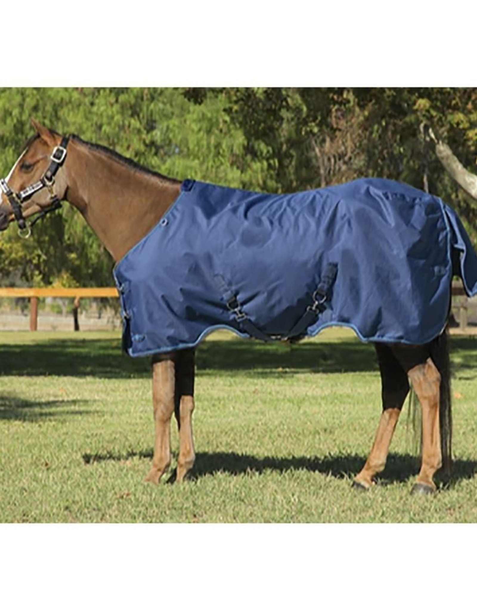 Kensington Surefit 180g Pony Blanket